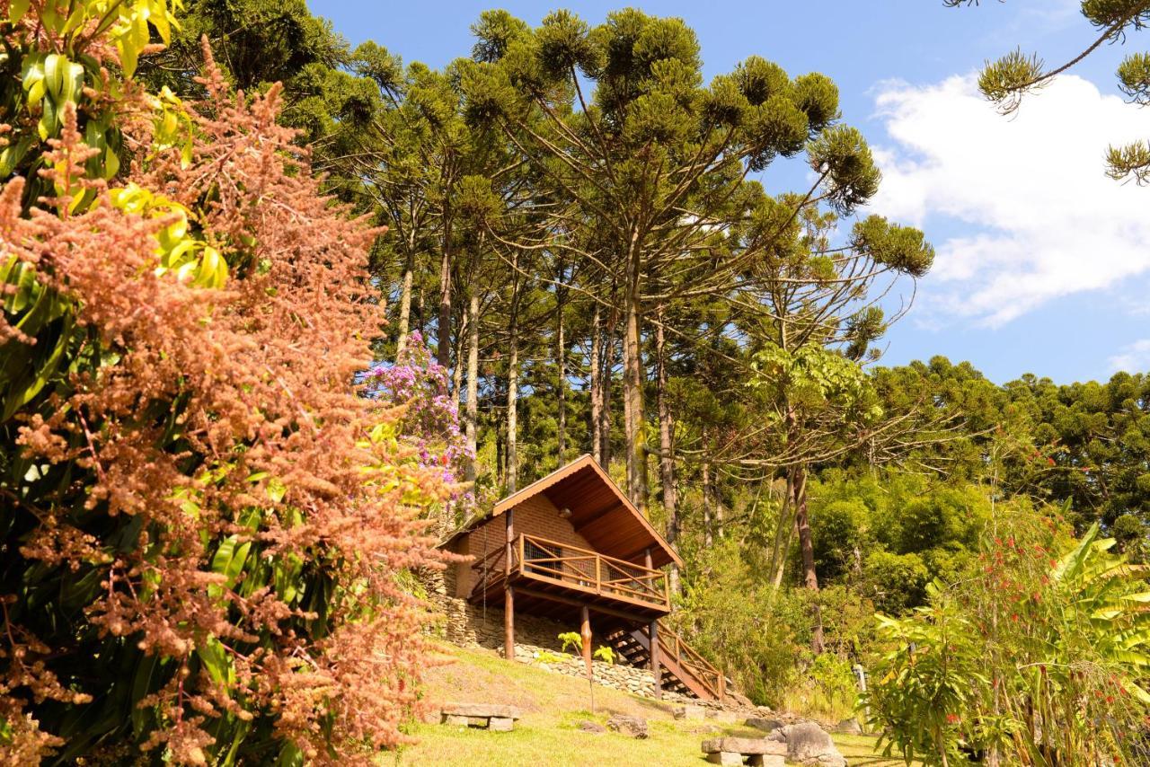 Chales Araucaria E Manaca Villa Sao Bento do Sapucai Exterior photo